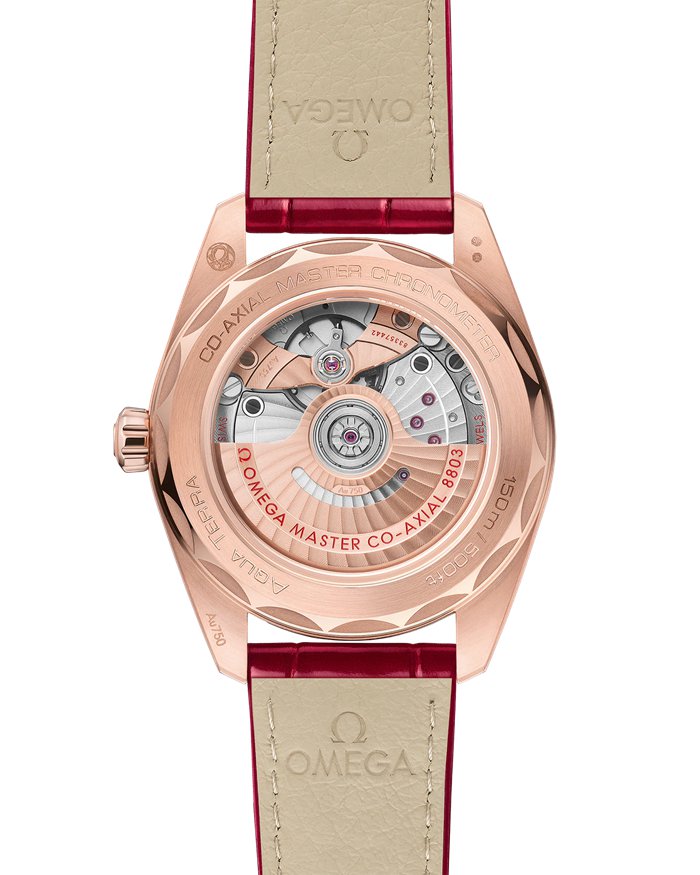 Omega Seamaster Aqua Terra 150M 38 mm, Sedna™-Gold mit Lederarmband 220.58.38.20.55.002 – Bild 2
