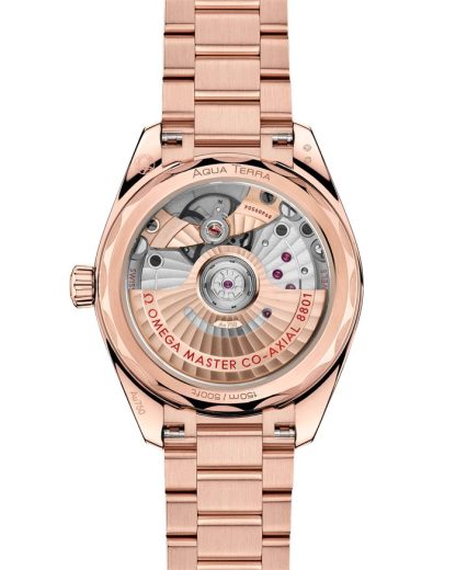 Omega Seamaster Aqua Terra Shades 34 mm, Sedna™-Gold mit Sedna™-Goldband 220.50.34.20.09.001 – Bild 2