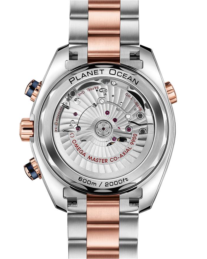 Omega Seamaster Planet Ocean 600M 45,5 mm, Stahl - Sedna™-Gold mit Stahl- und Sedna™-Goldband 215.20.46.51.03.001 – Bild 2