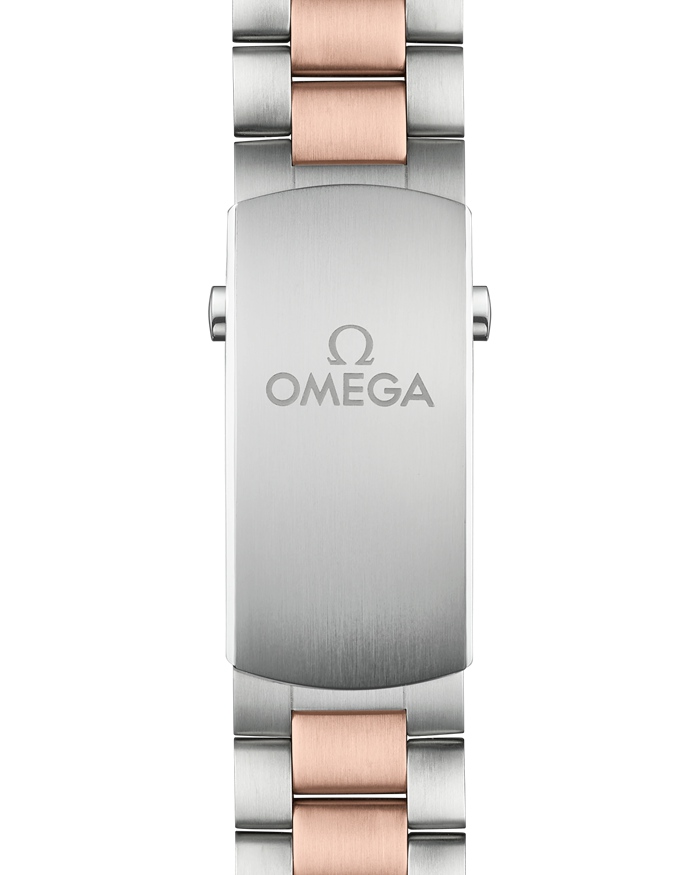 Omega Seamaster Planet Ocean 600M 45,5 mm, Stahl - Sedna™-Gold mit Stahl- und Sedna™-Goldband 215.20.46.51.03.001 – Bild 3